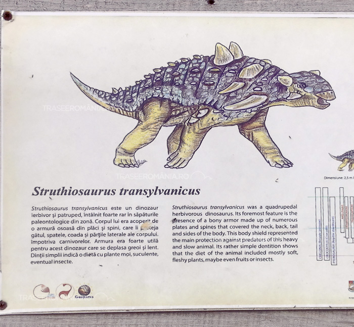  Specii de dinozauri din Romania - Struthiosaurus transylvanicus
