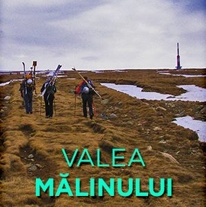 Snowboard pe Valea Malinului