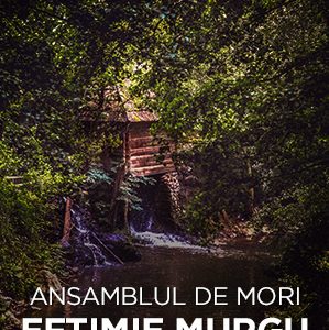 Eftimie Murgu Ansamblul de mori de pe Valea Rudariei