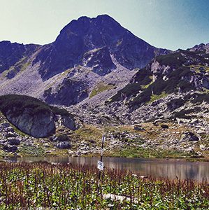 In Muntii Retezat de la Cabana Pietrele spre Curmatura Bucurei via Cabana Gentiana