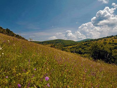 TRASEU IN JUDETUL COVASNA – SFANTU GHEORGHE, MICLOSOARA, BAILE DIN BELIN SI ARINI, VALEA ZALANULUI, BATANII MICI