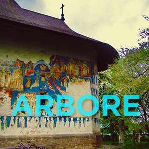 Biserica din Arbore